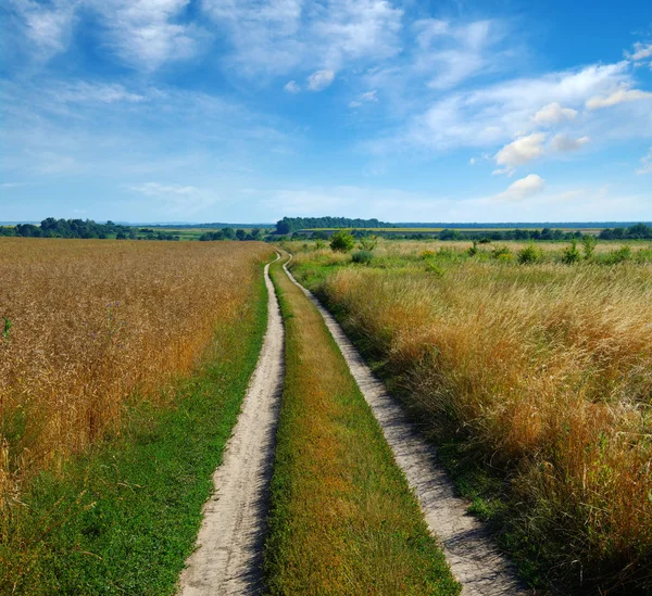 Strada in campo — Foto Stock