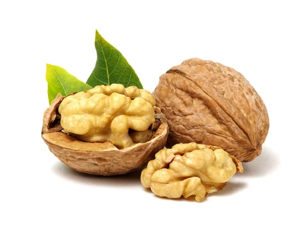 Nueces con hojas — Foto de Stock