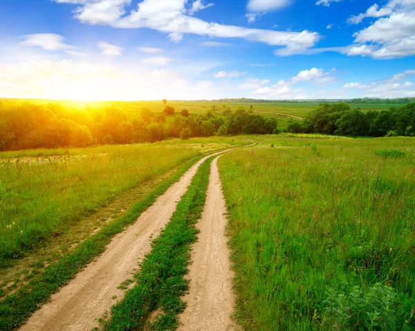 Strada in campo — Foto Stock