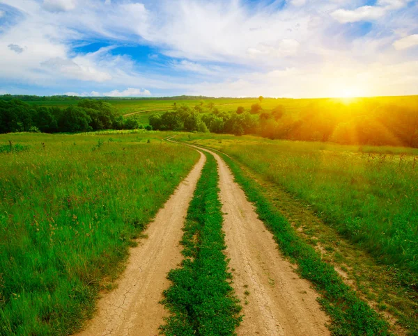 Straße im Feld — Stockfoto