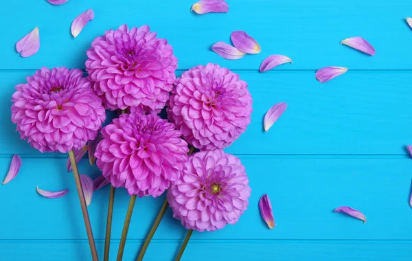 Blumen auf blau bemalten Holzplanken. — Stockfoto