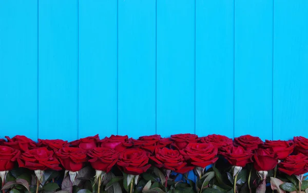 Flores de rosas vermelhas em madeira azul . — Fotografia de Stock