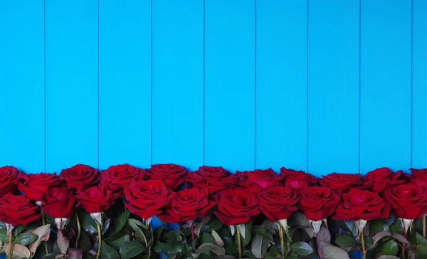 Rose rosse fiori su legno blu . — Foto Stock