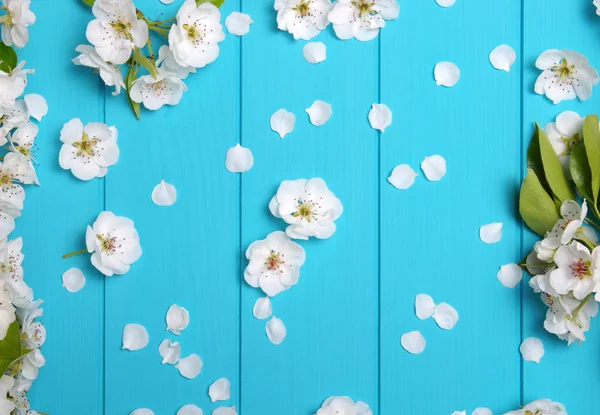 Lente bloesem op blauw hout — Stockfoto