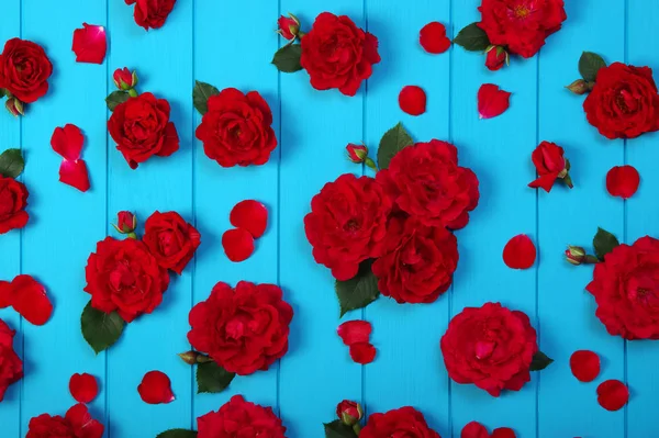 Flores de rosas vermelhas em madeira azul . — Fotografia de Stock