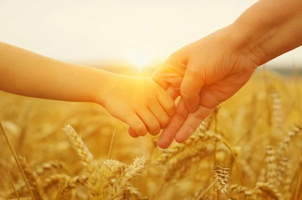 Handen van moeder en dochter op de zon — Stockfoto