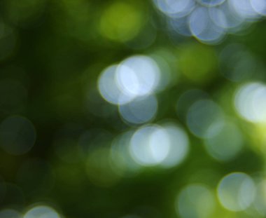 yeşil arka plan bulanık