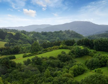  Çimenli tarla ve tepeler