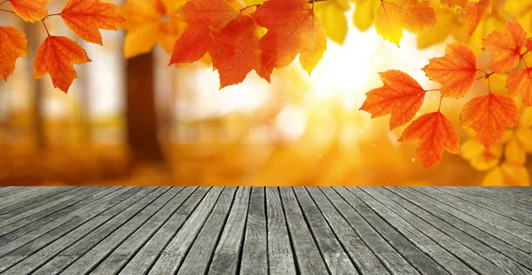 Houttextuur en herfstbladeren — Stockfoto