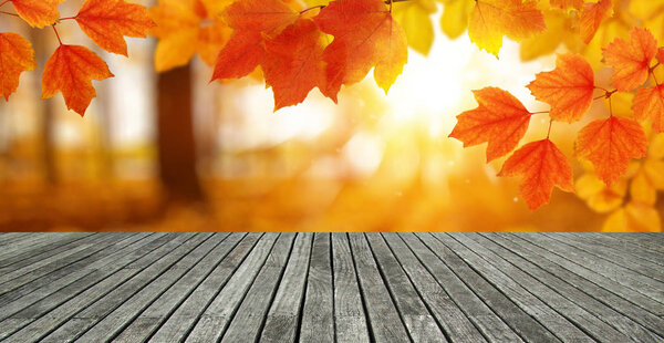 Wood texture and autumn leaves 
