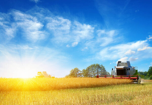  Combine working in field.