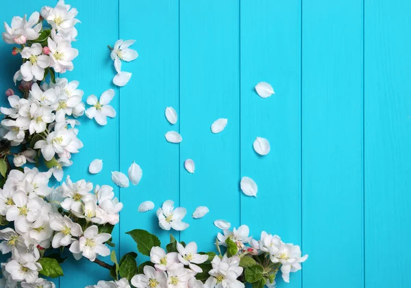 Primavera ramo fiorito su sfondo di legno . — Foto Stock