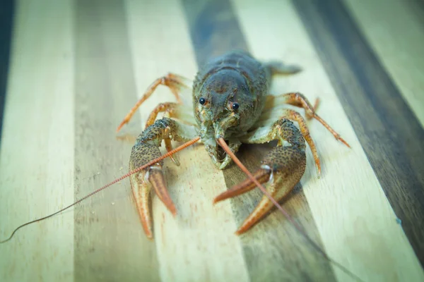 Rivierkreeft op de houten achtergrond — Stockfoto