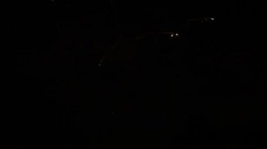 Gece gökyüzünde havai fişekler