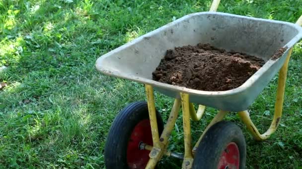 Filling wheelbarrow with soil — Stock Video