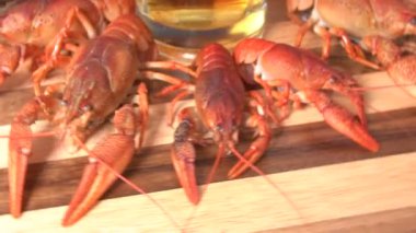 Bardak bira ve haşlanmış crawfishes.