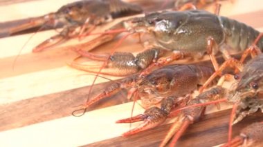 Pişmiş kırmızı kerevit