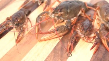 Pişmiş kırmızı kerevit