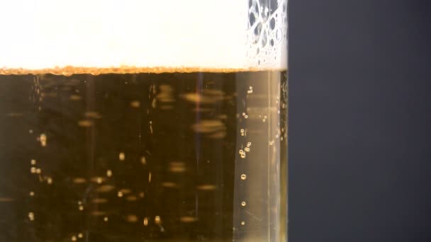 Segelas penuh bir — Stok Video