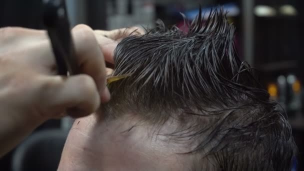 Un homme se fait couper les cheveux par un coiffeur — Video