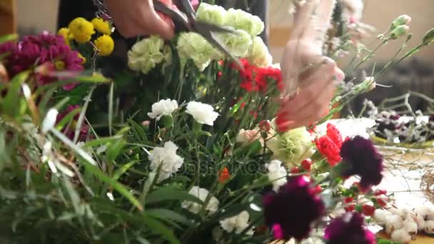 Bloemist op het werk kiezen voor boeket bloemen. — Stockvideo