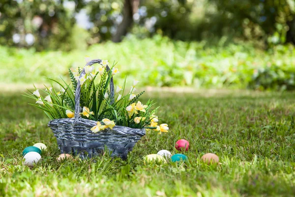 Wicker basket with flowers — Stock Photo, Image