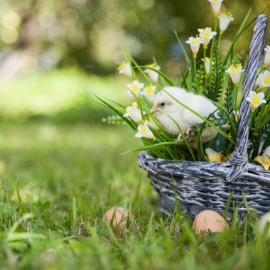 sevimli küçük kız