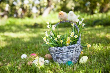 Küçük şirin kızlar