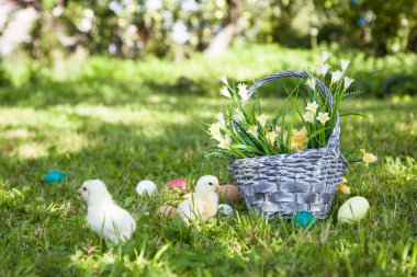 Küçük şirin kızlar