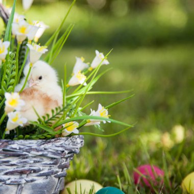 sevimli küçük kız