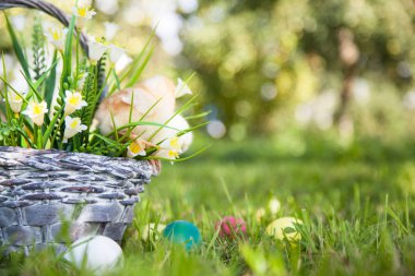 sevimli küçük kız