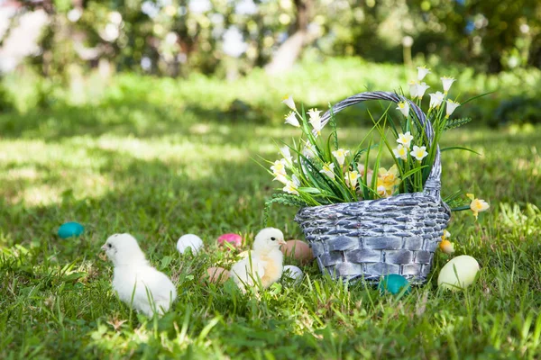 Küçük şirin kızlar