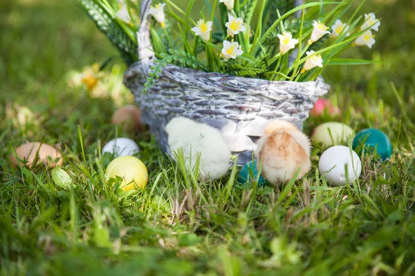 Küçük şirin kızlar