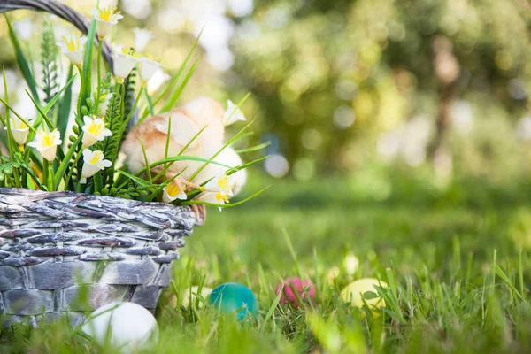 sevimli küçük kız