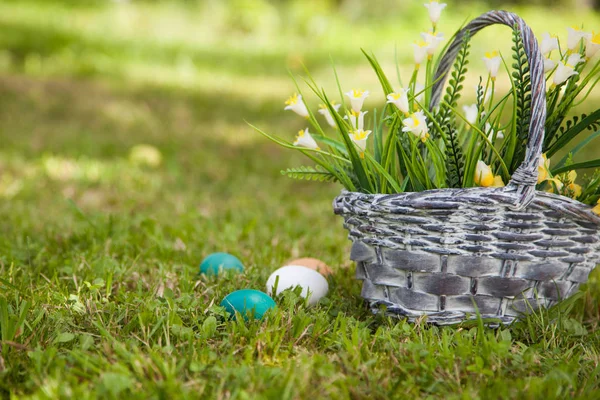 Wicker basket with flowers — Stock Photo, Image