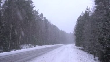 Ormanda geliyor kar.