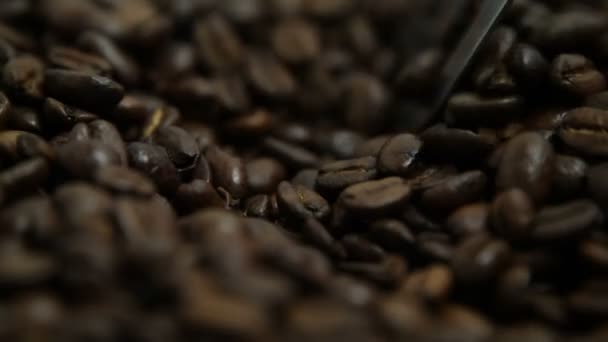 Kaffeebohnen mit Paddel rühren — Stockvideo