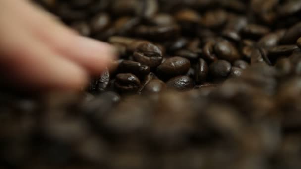 Mexendo grãos de café com a mão — Vídeo de Stock