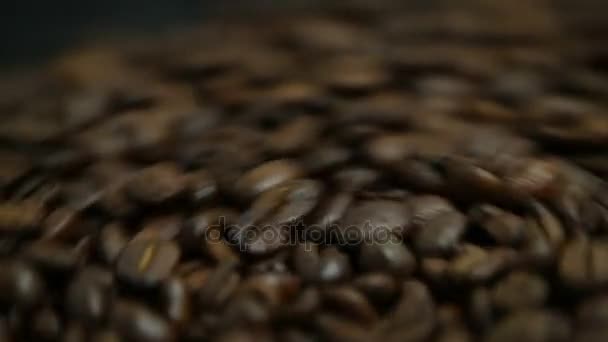 Close-up van koffiebonen oppervlak — Stockvideo