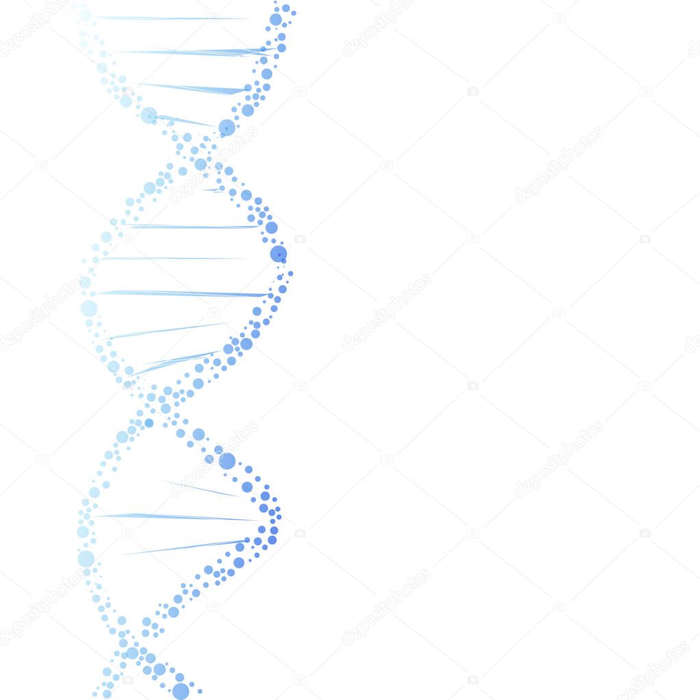 DNA molecule structure