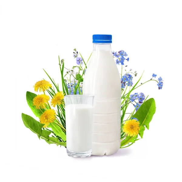 Mléko ve skle — Stock fotografie