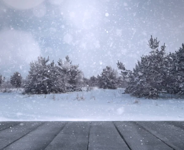 Vinter oskärpa bakgrund — Stockfoto