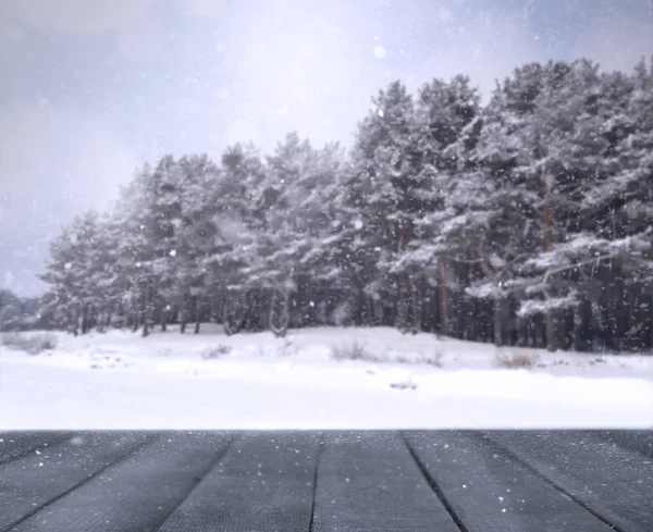 Vinter oskärpa bakgrund — Stockfoto