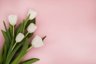 Lale çiçek kartpostal