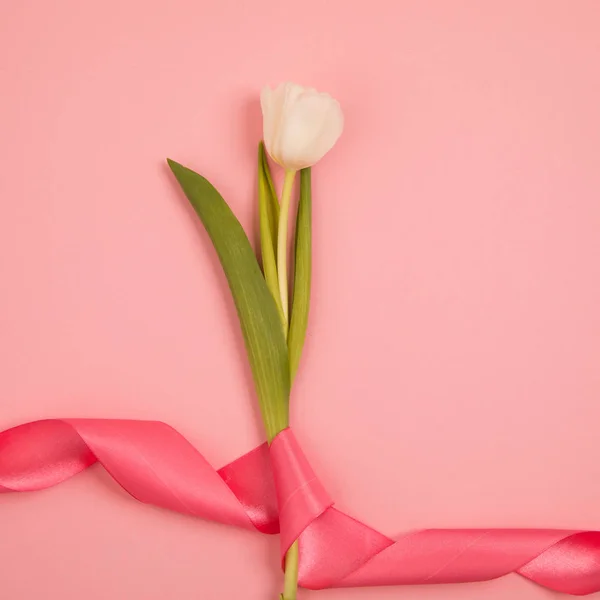 Tulip kwiat pocztówka — Zdjęcie stockowe