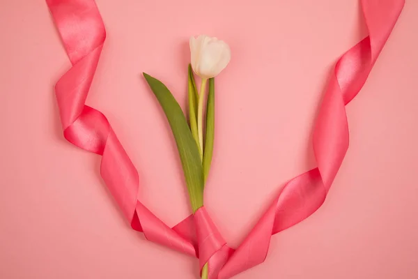Tulip flower vykort — Stockfoto