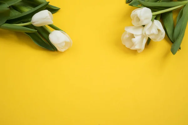Tulp bloemen briefkaart — Stockfoto