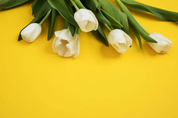 Открытка с цветами тюльпана — стоковое фото