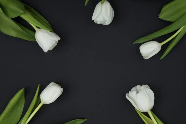 Tulp bloemen briefkaart — Stockfoto