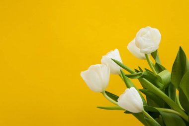 Lale çiçek kartpostal